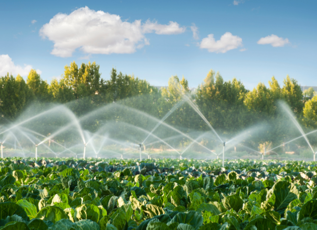 Micro Irrigation Projects